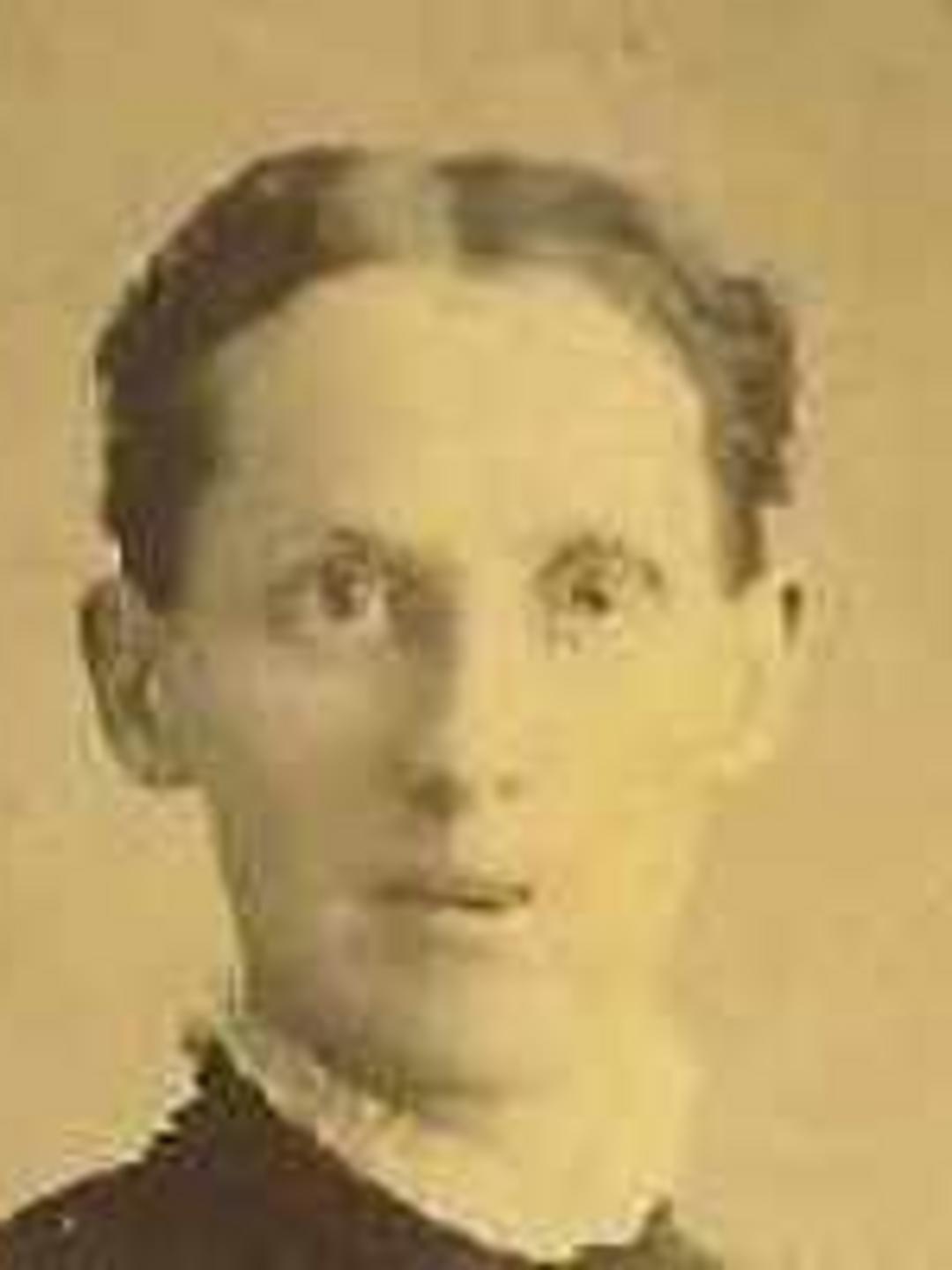 Phoebe Ellen Treseder (1844 - 1897) Profile